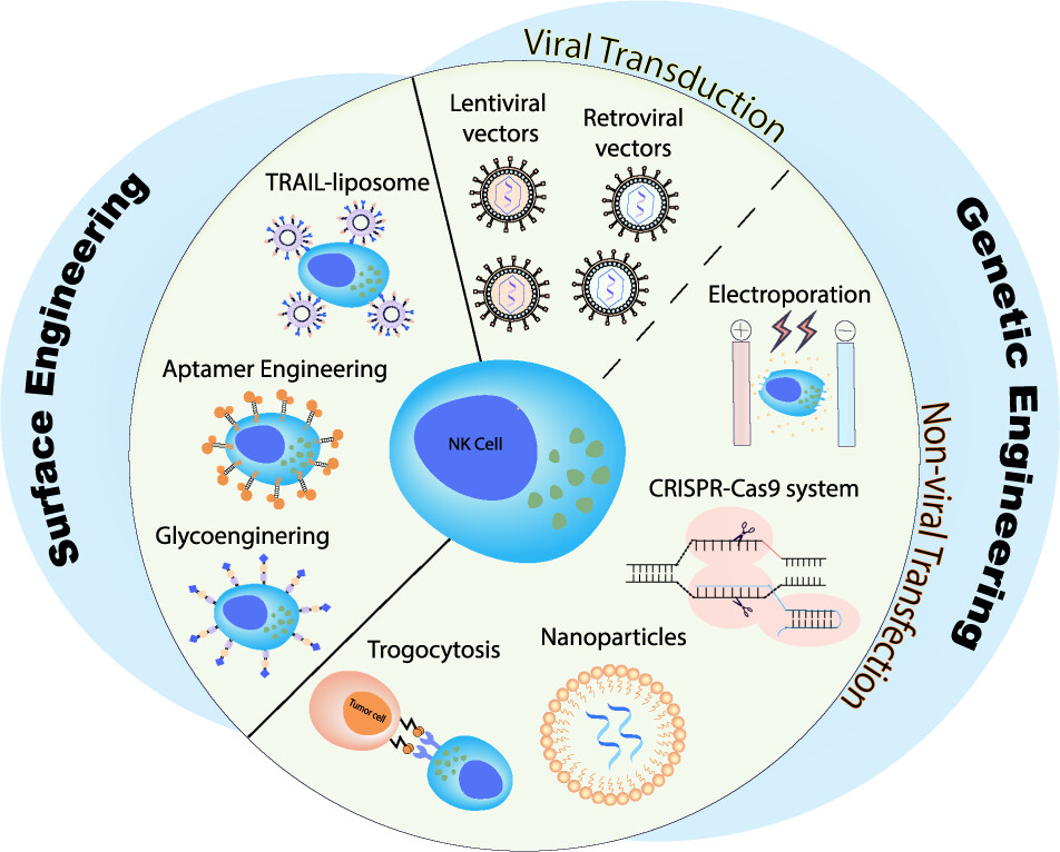 PUBLICATIONS – MITCHELL LAB