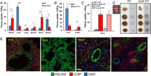 pnas.2409266122fig01